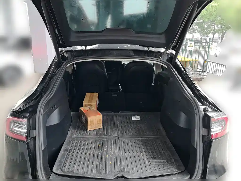 Tesla Model Y — миниатюра 20