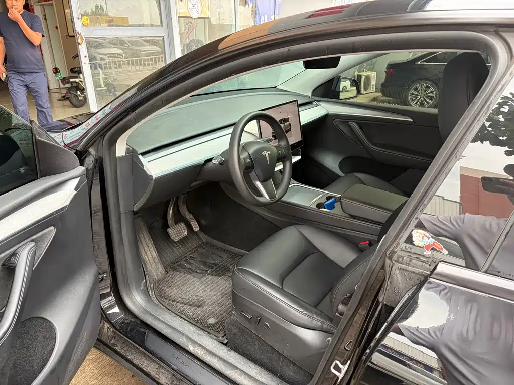 Tesla Model Y — миниатюра 2