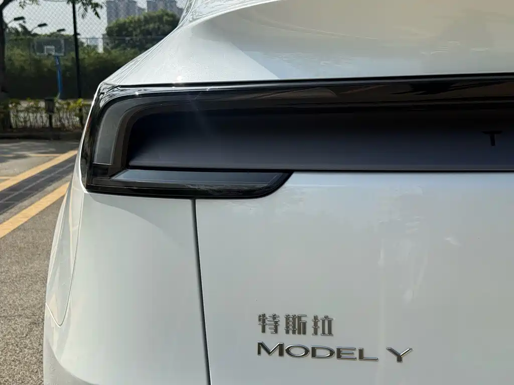 Tesla Model Y — миниатюра 10