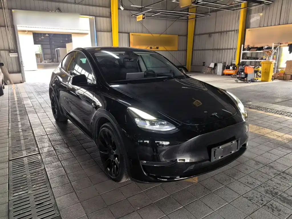 Tesla Model Y — миниатюра 4