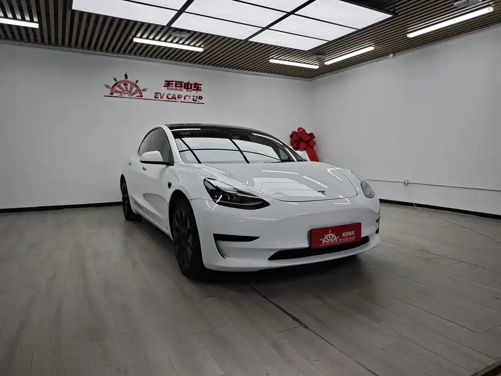 Tesla Model 3 — миниатюра 2