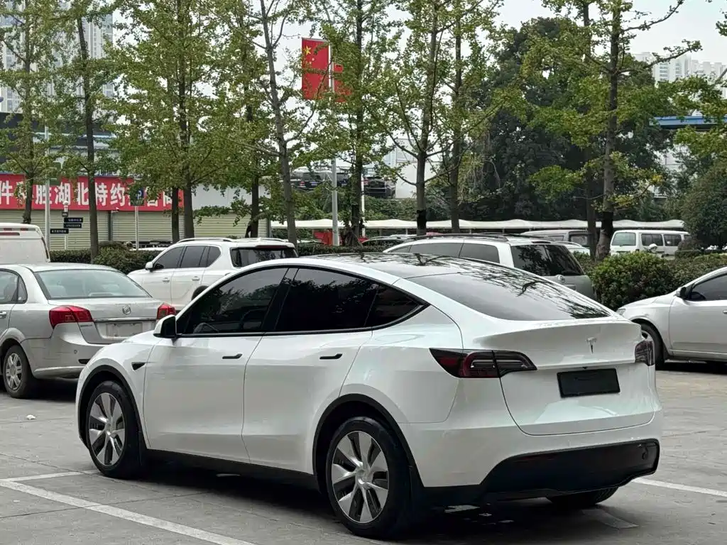 Tesla Model Y — миниатюра 5