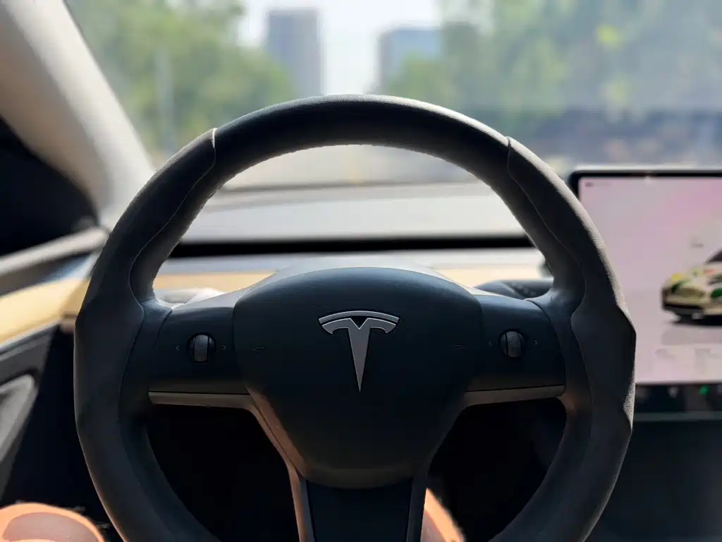 Tesla Model Y — миниатюра 6