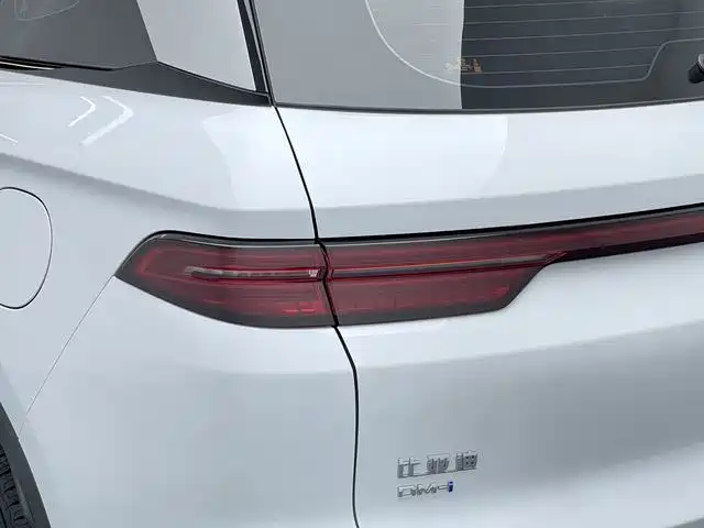 BYD Pro — миниатюра 20