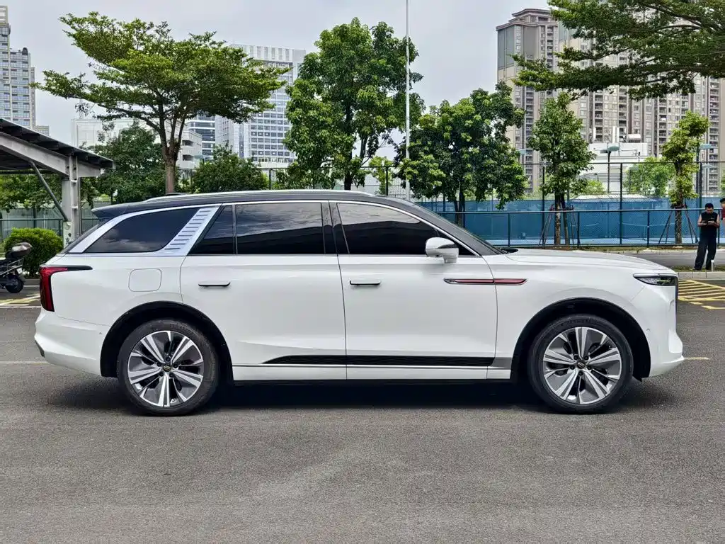 Hongqi Hongqi E-HS9 — миниатюра 9