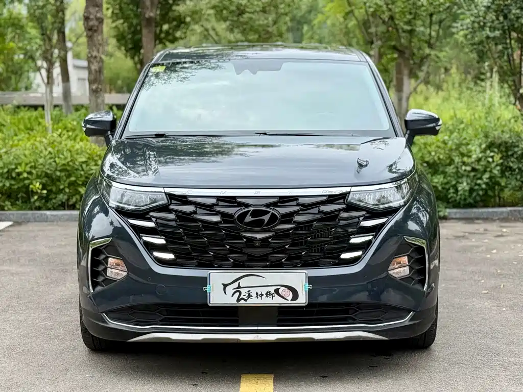 Hyundai Custo — миниатюра 3