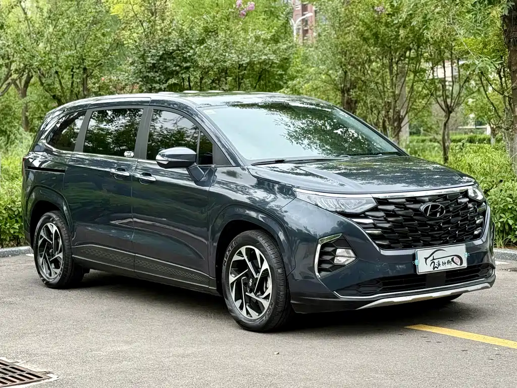 Hyundai Custo — миниатюра 2