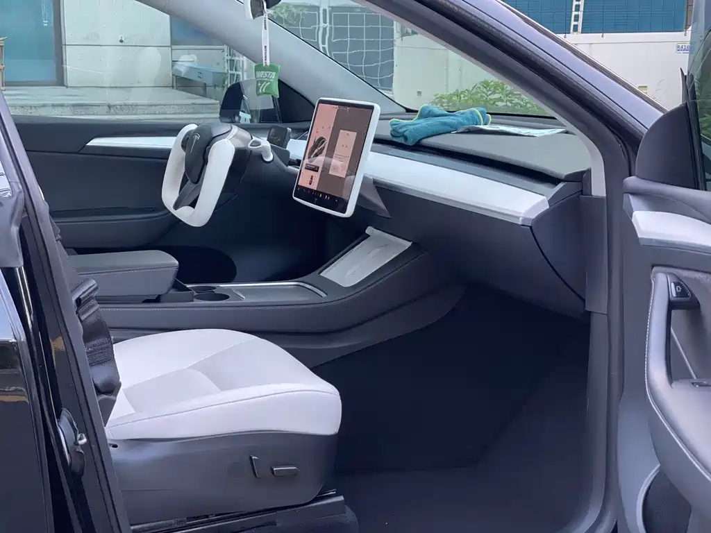 Tesla Model Y — миниатюра 10