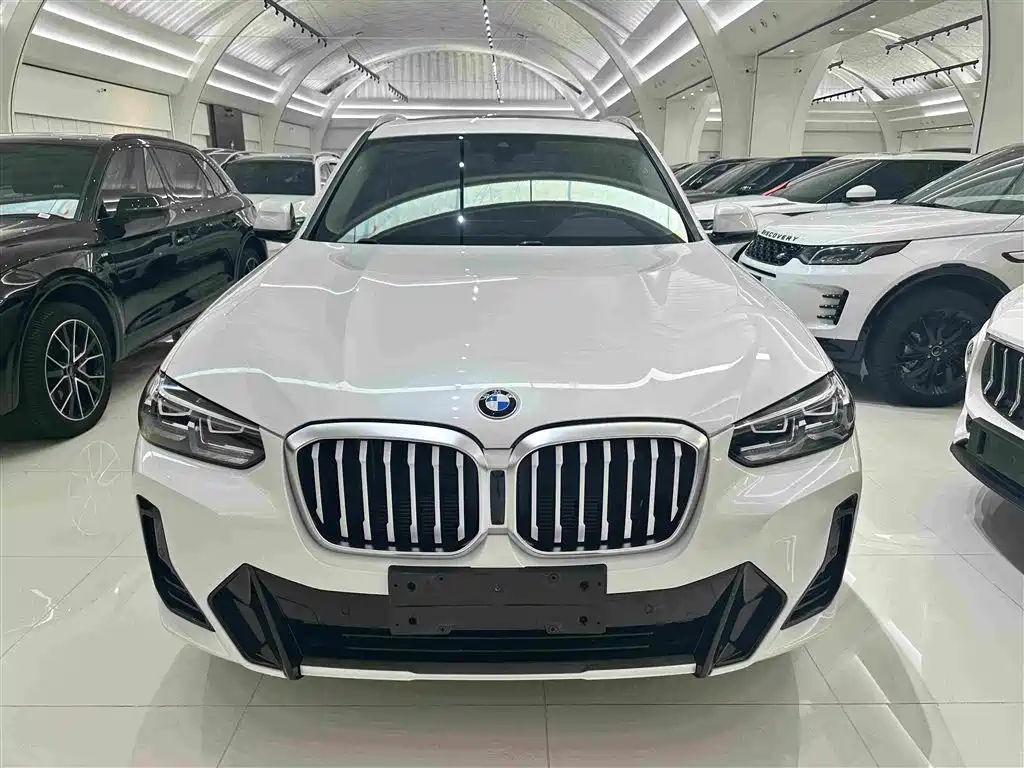 BMW X3 — миниатюра 2