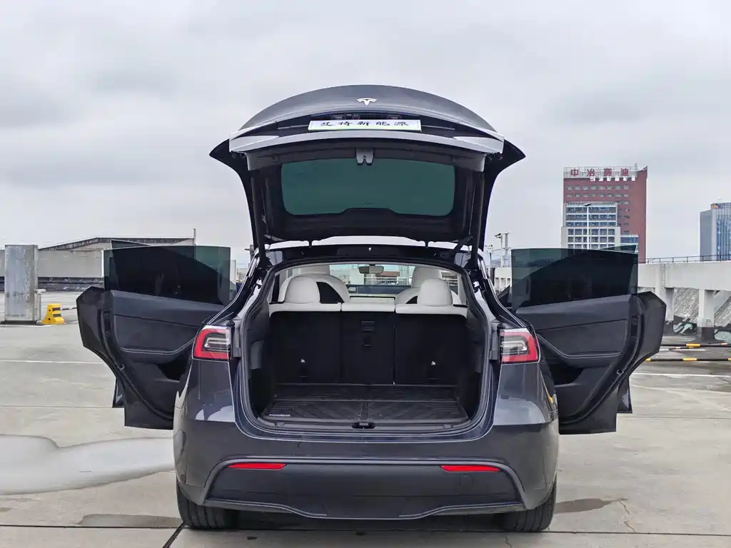 Tesla Model Y — миниатюра 15