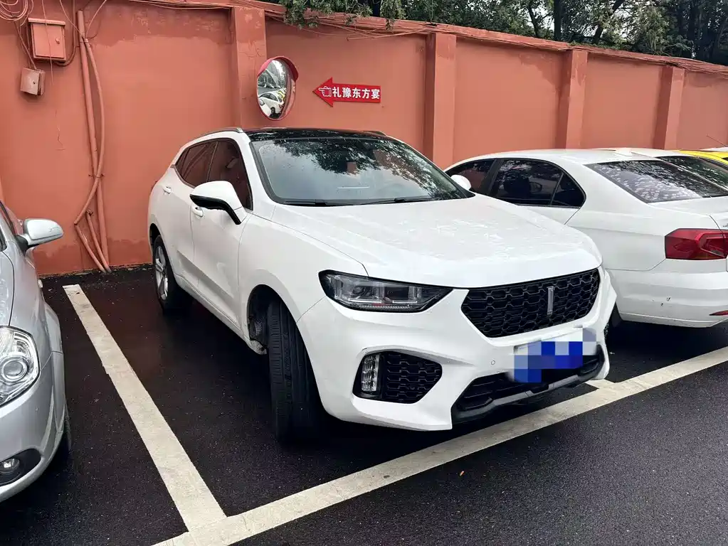 WEI PAI WEI BRAND VV5