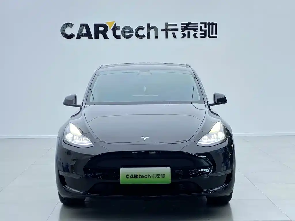 Tesla Model Y — миниатюра 2
