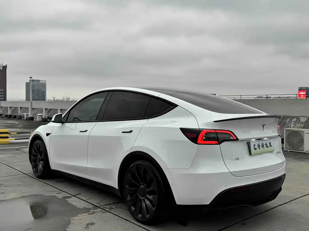 Tesla Model Y — миниатюра 6