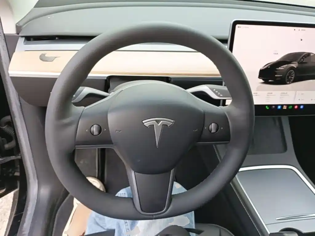 Tesla Model Y — миниатюра 11