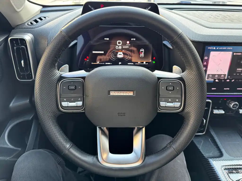 Haval Big Dog — миниатюра 13