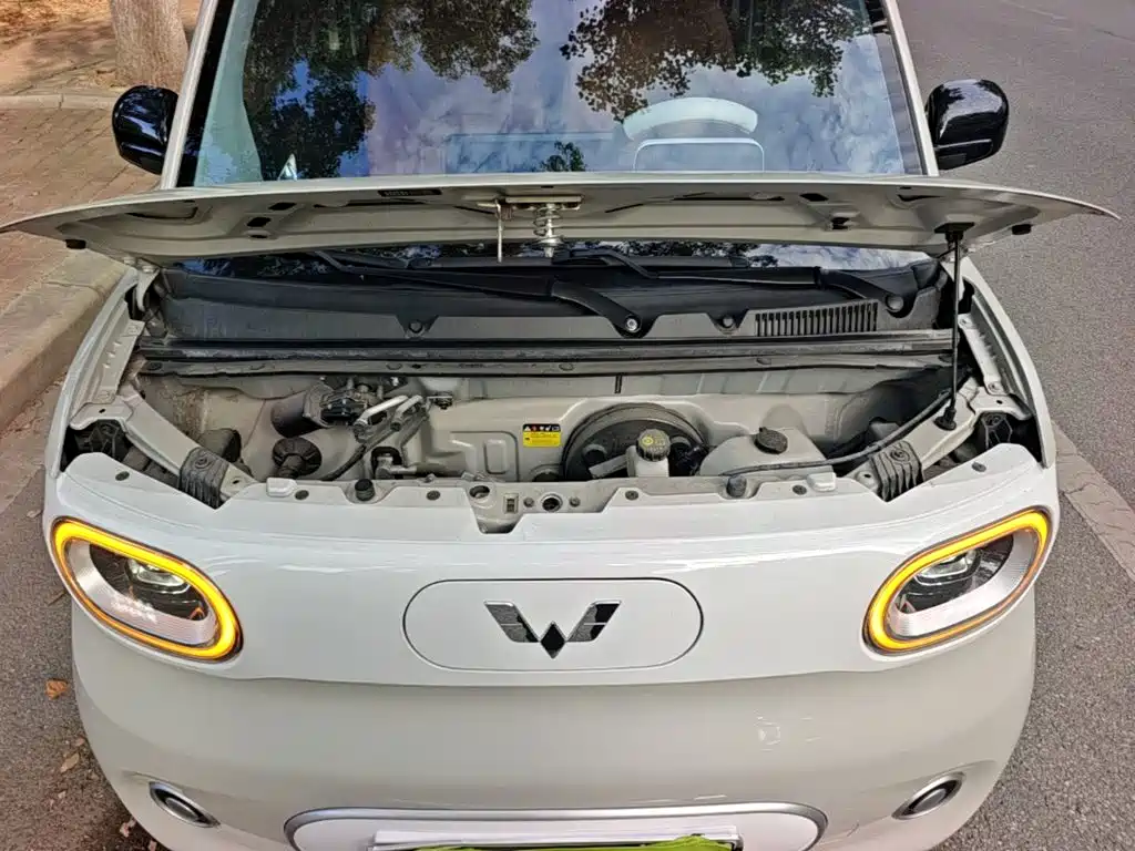 Wuling MINIEV — миниатюра 20