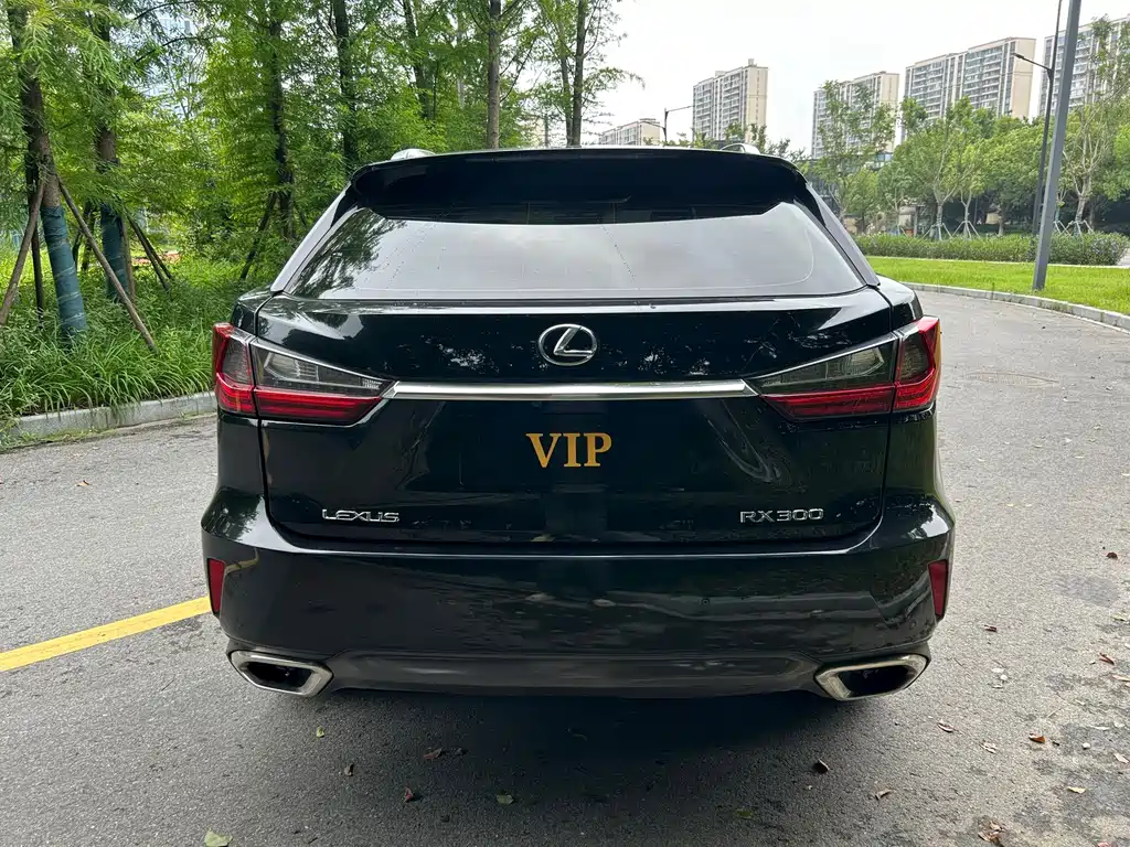 Lexus RX — миниатюра 6