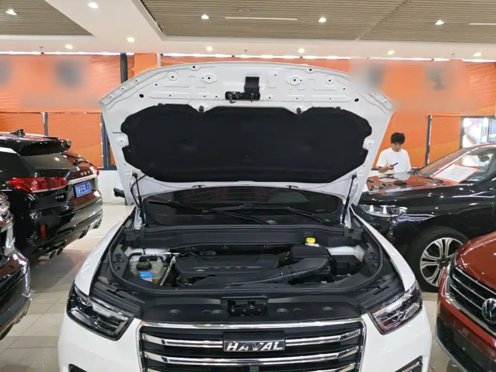 Haval H6 — миниатюра 20