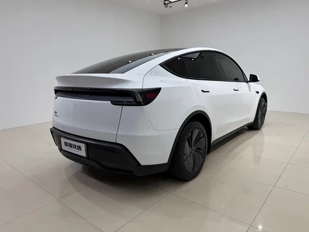 Tesla Model Y — миниатюра 4