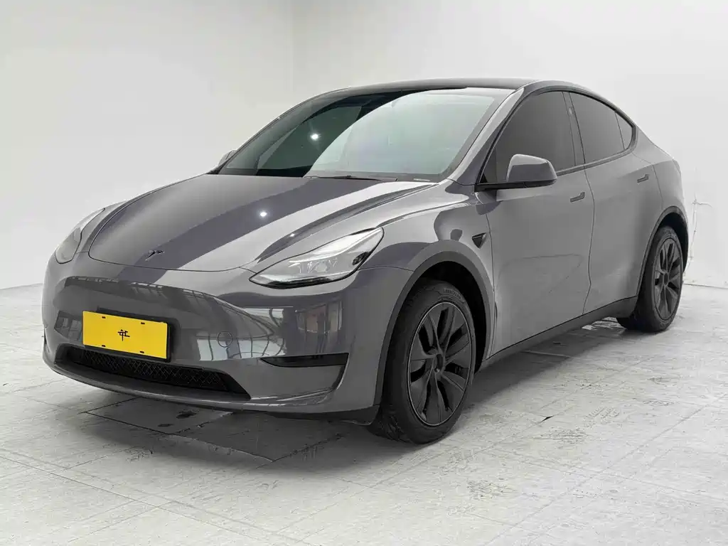 Tesla Model Y — миниатюра 6