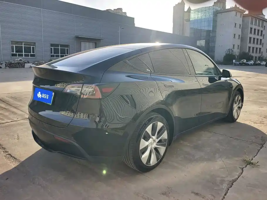 Tesla Model Y — миниатюра 3