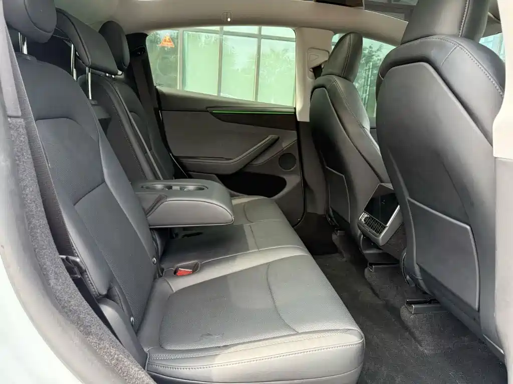 Tesla Model Y — миниатюра 12