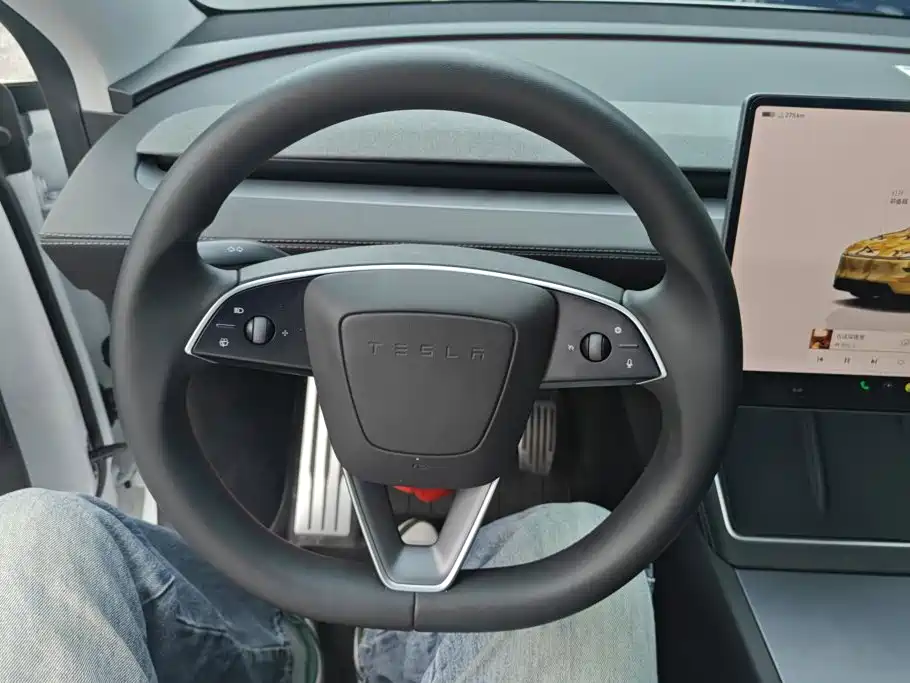 Tesla Model Y — миниатюра 15