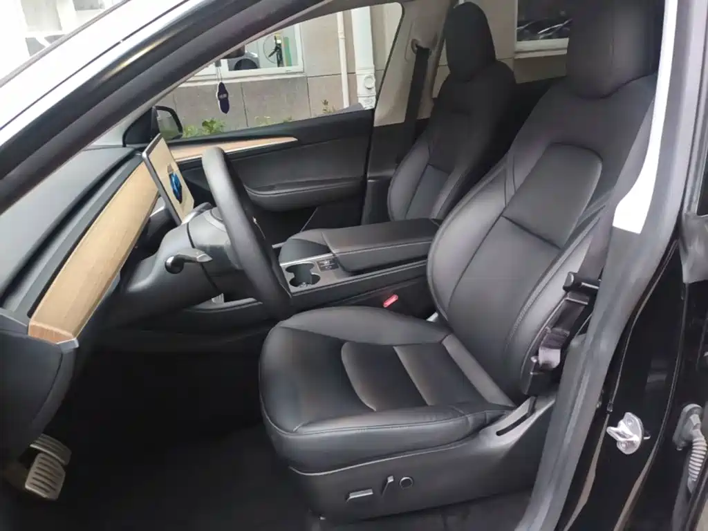 Tesla Model Y — миниатюра 15