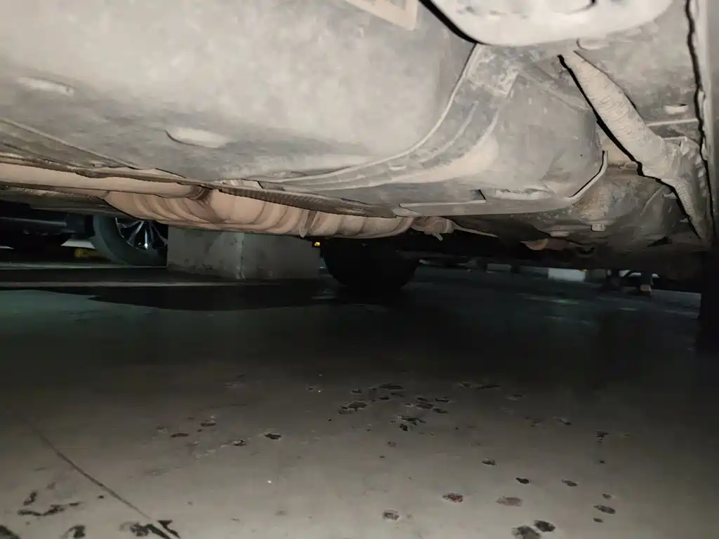 Jeep Grand Cherokee (Import) — миниатюра 18