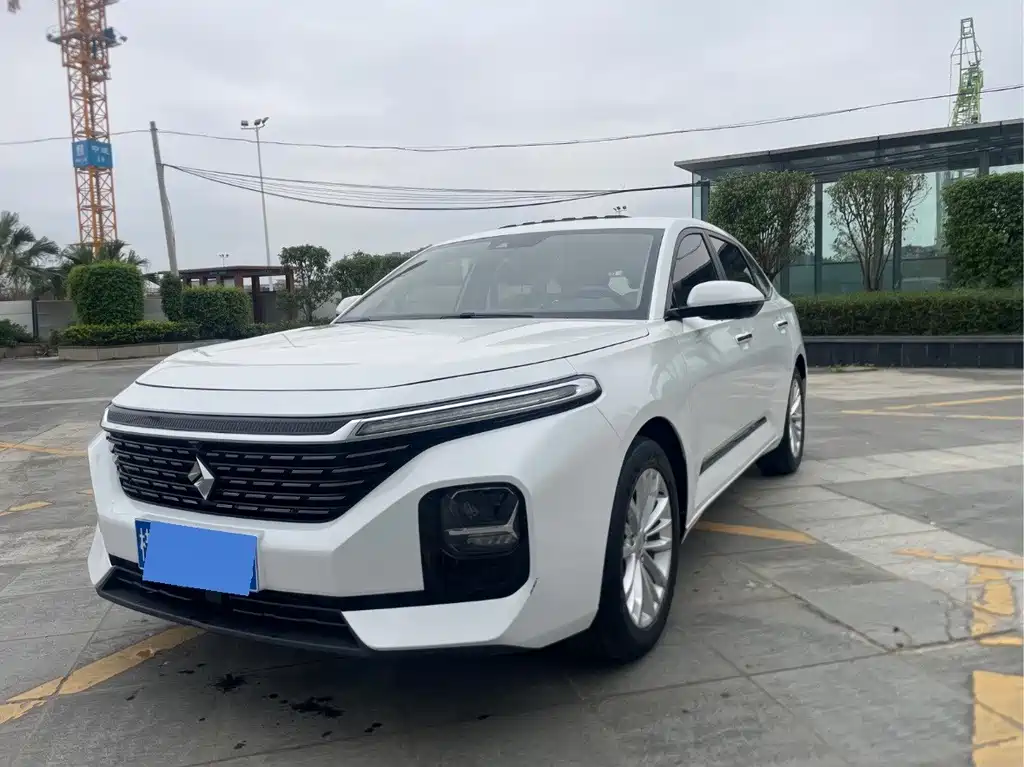 BAOJUN RC 5