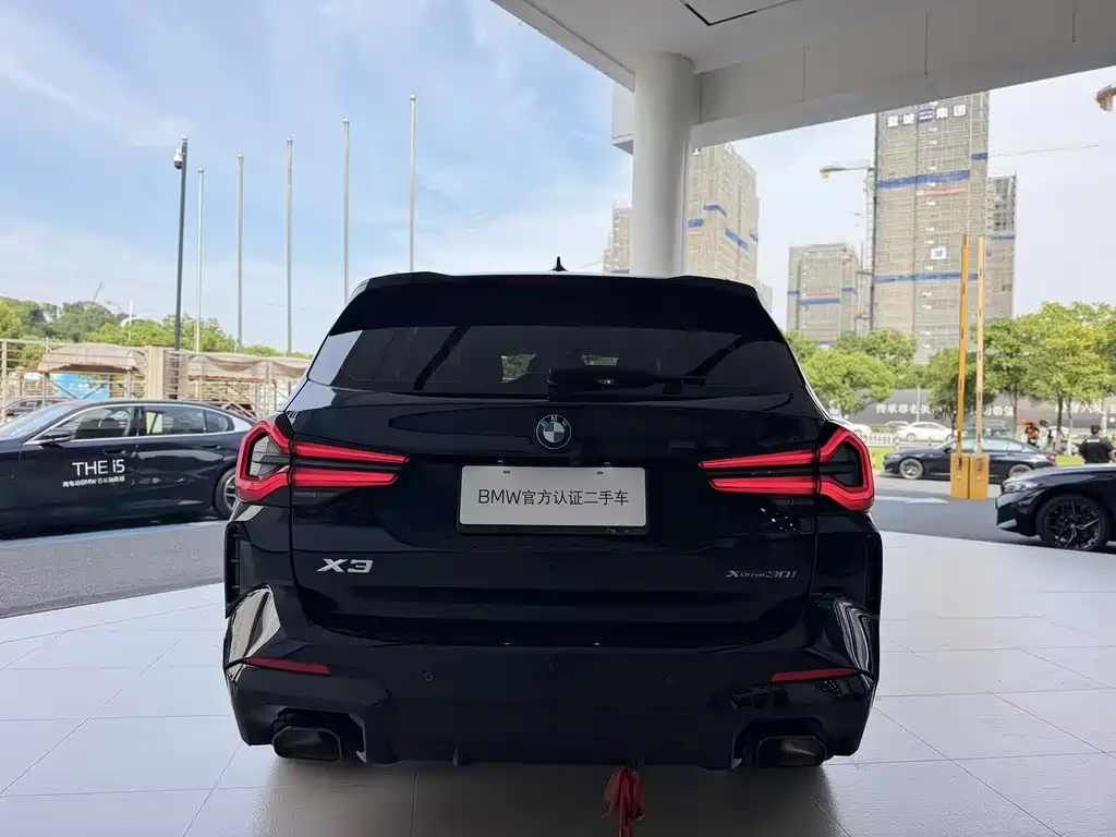 BMW X3 — миниатюра 6