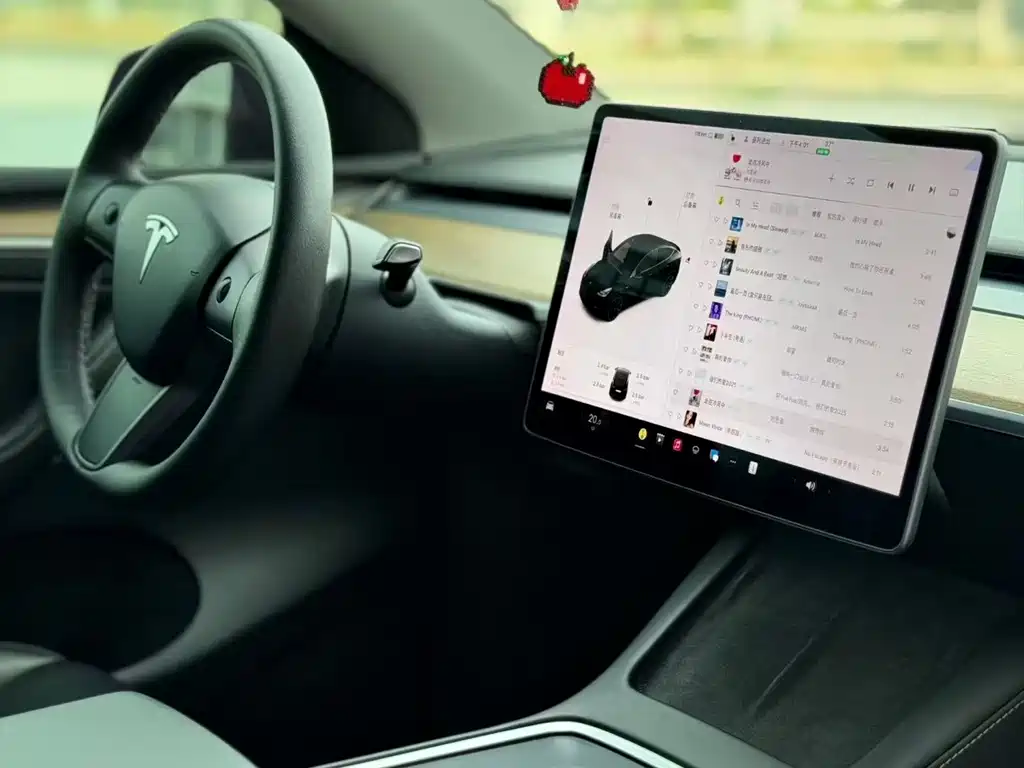 Tesla Model Y — миниатюра 6