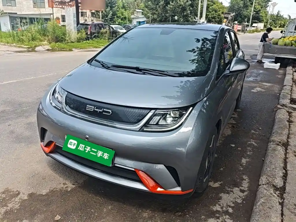 2022 BYD Dolphin - zdjęcie 1 z 25
