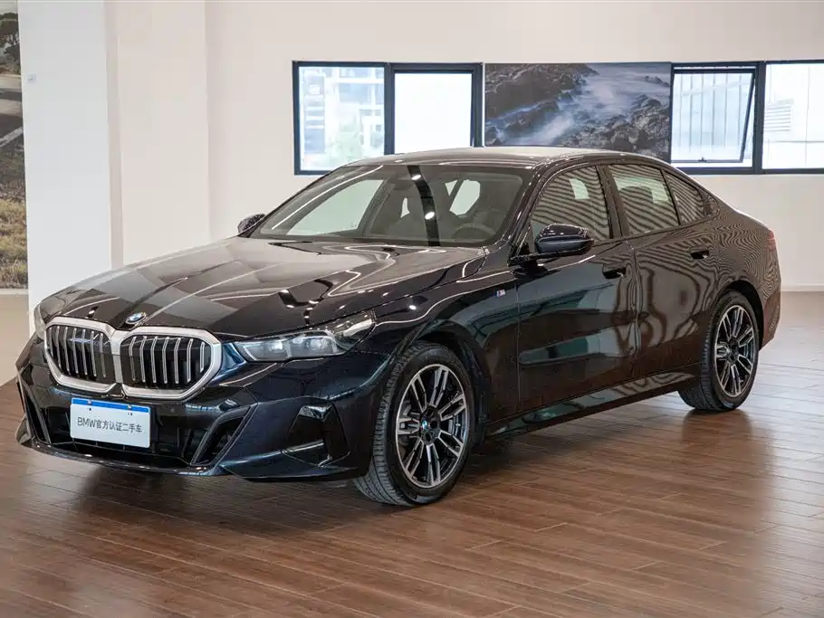 BMW 5 Series (Import) — миниатюра 2