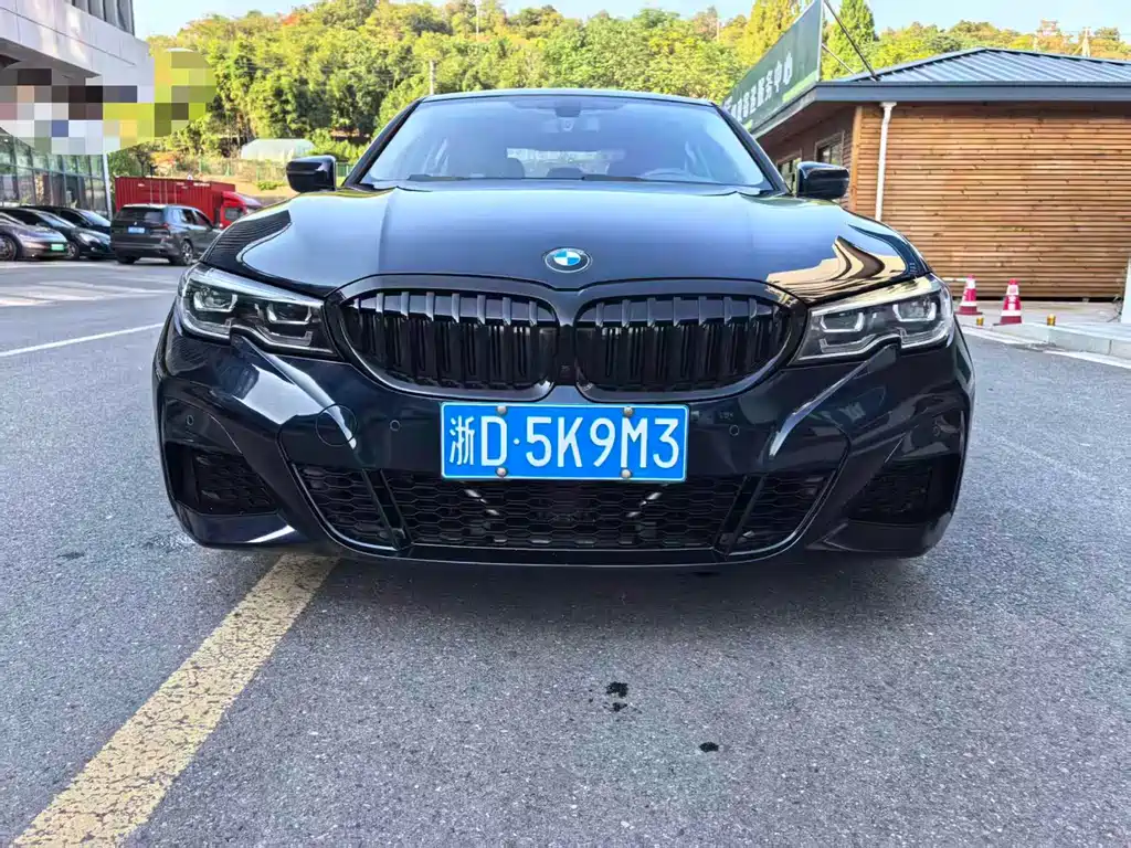 BMW 3 Series — миниатюра 2