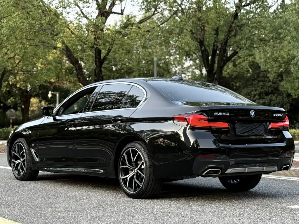 BMW 5 Series — миниатюра 4