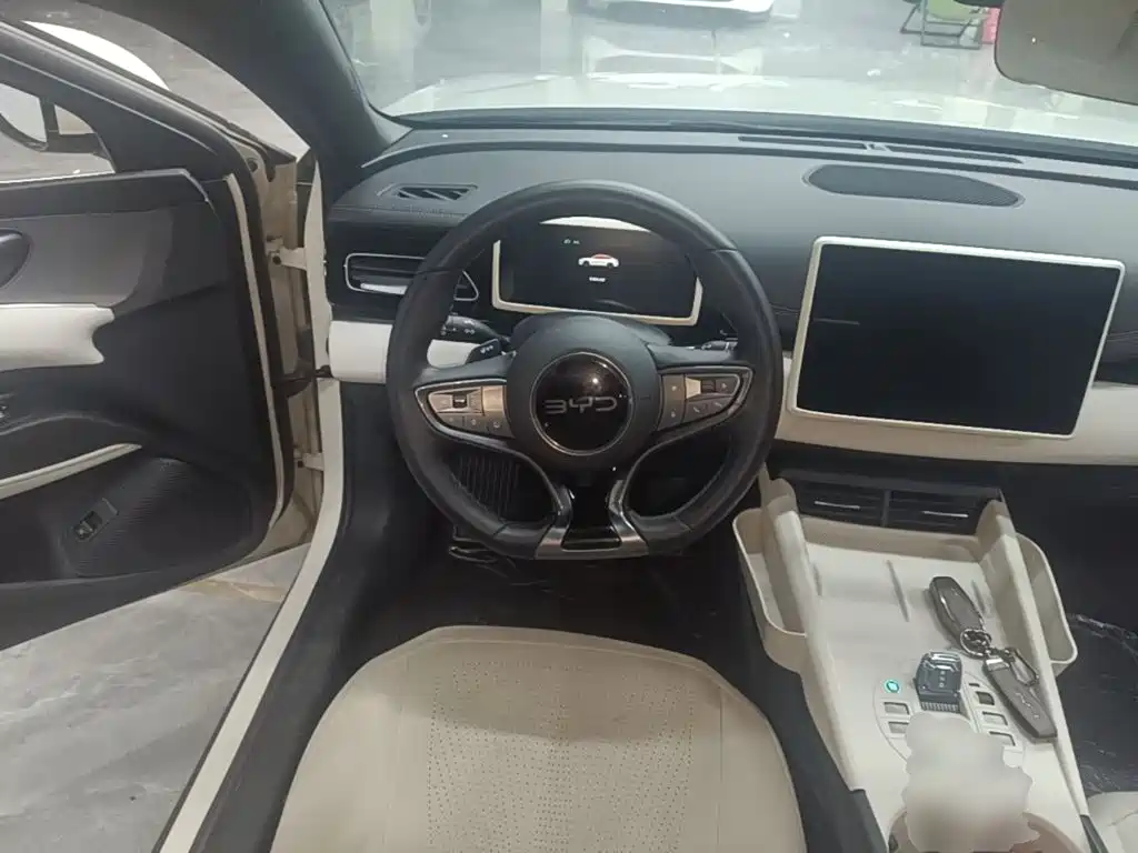 BYD Seal 06 — миниатюра 11
