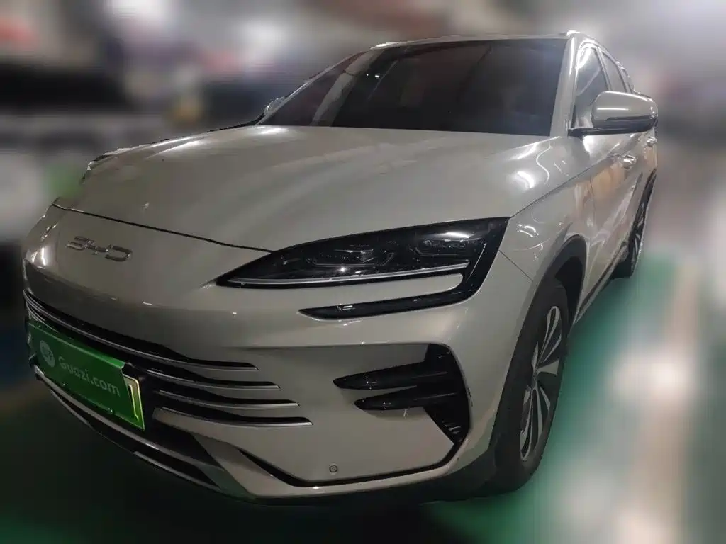 BYD PLUS New Energy — миниатюра 2