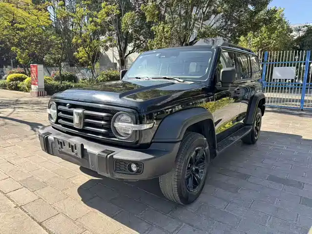 Tank 300