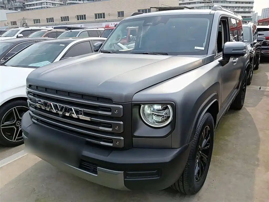 HAVAL  RAPTORS NEW ENERGY