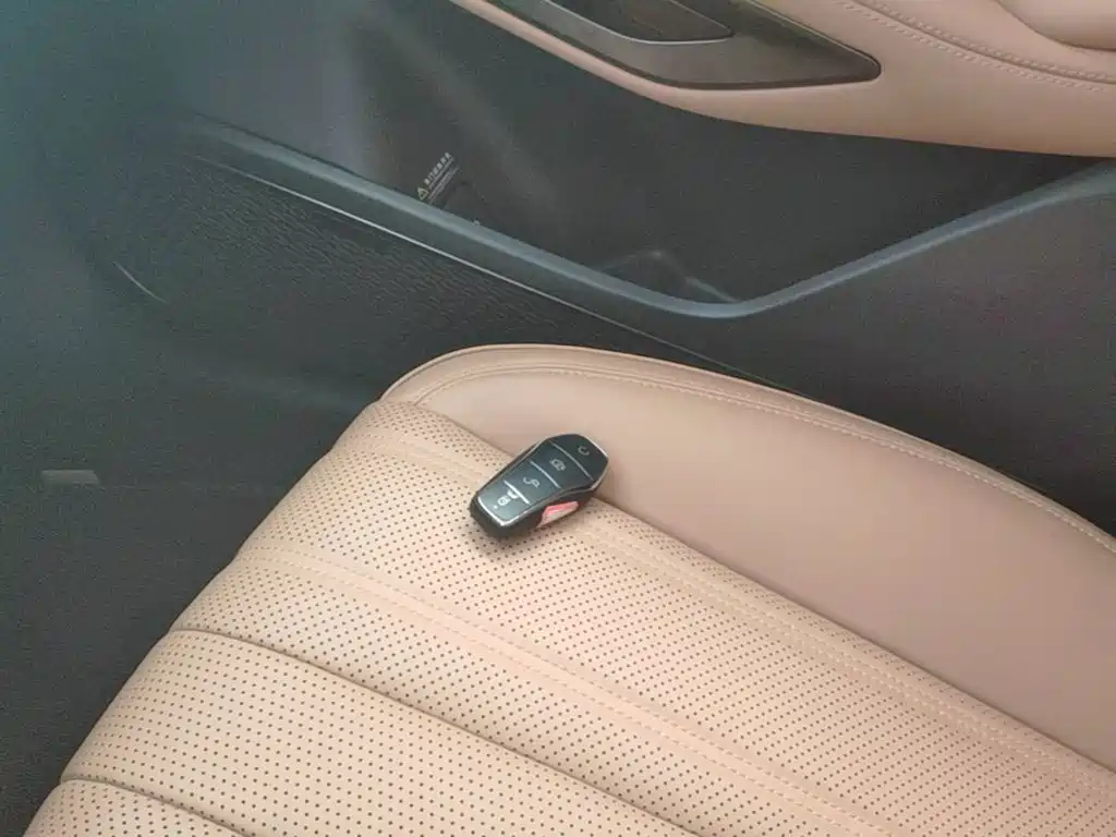 BYD L EV — миниатюра 9