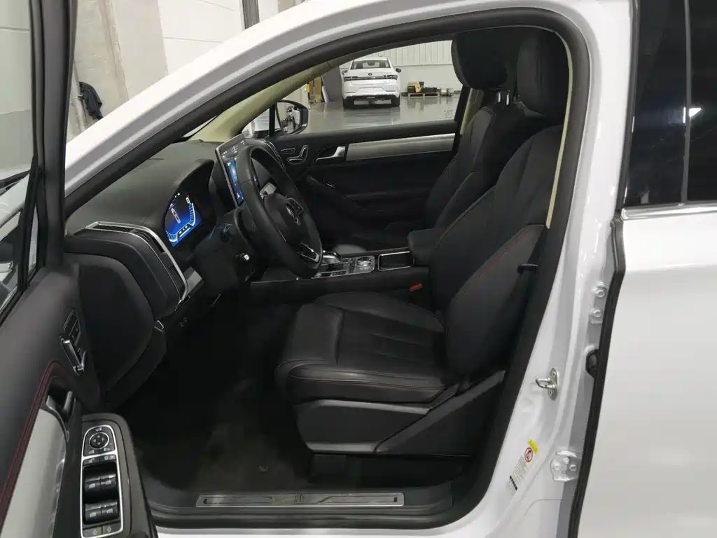 BYD Tang New Energy — миниатюра 10