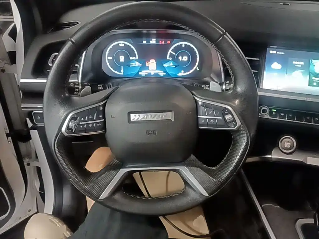 Haval H6 — миниатюра 11