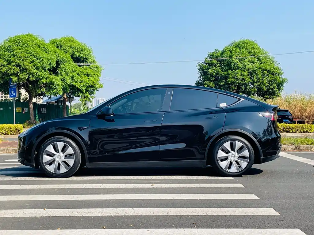 Tesla Model Y — миниатюра 8