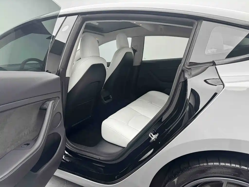 Tesla Model 3 — миниатюра 8