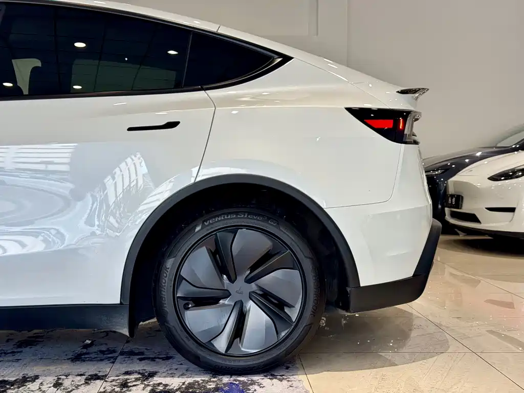 Tesla Model Y — миниатюра 18