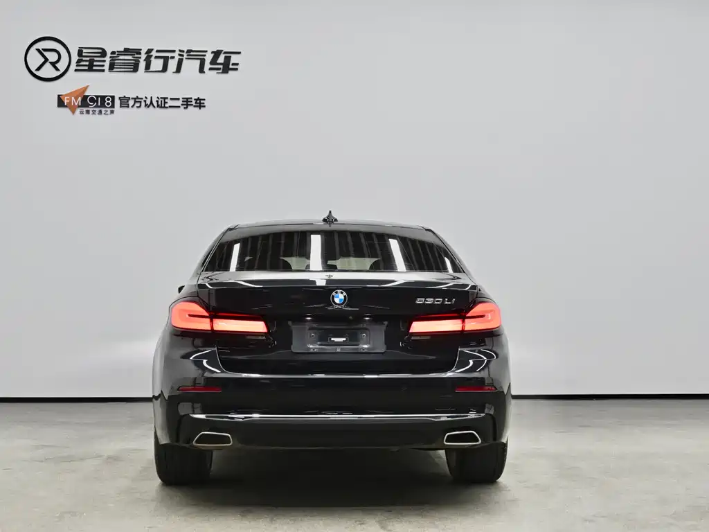 BMW 5 Series — миниатюра 4