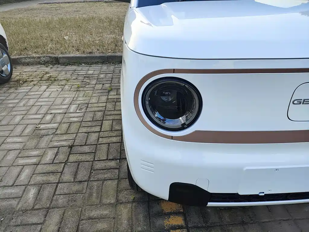 GEELY GALAXY PANDA
