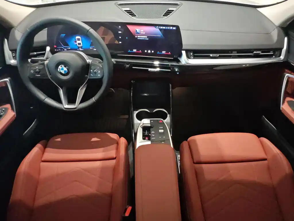 BMW X2 (Import) — миниатюра 16
