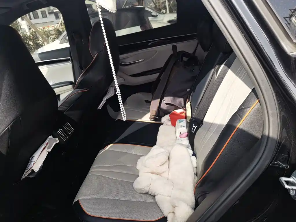 BYD PLUS New Energy — миниатюра 13